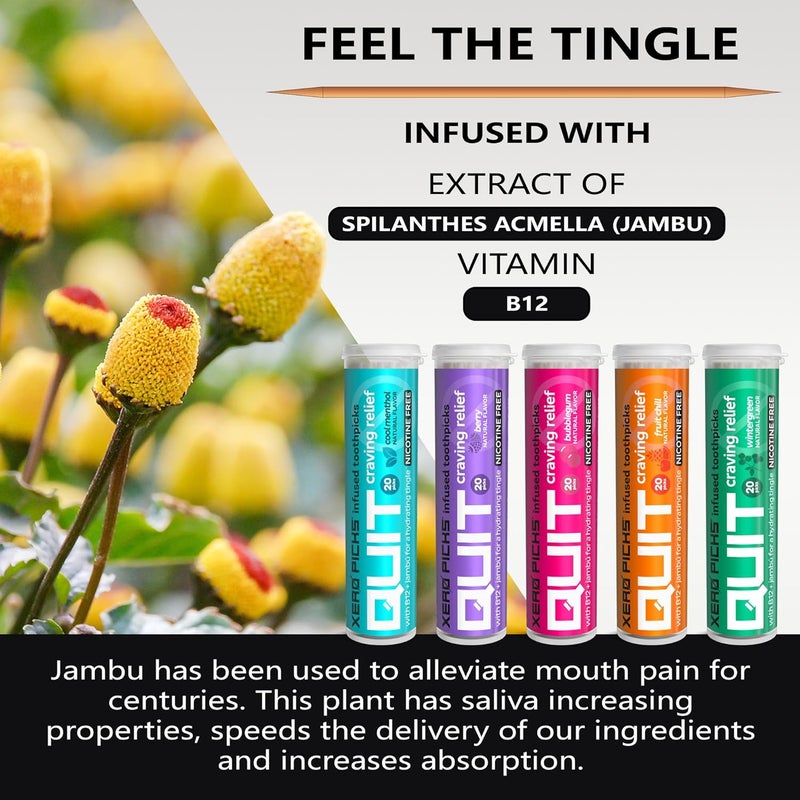 XERO PICKS Infused Flavored Toothpicks to Help Quit Smoking - Nicotine Free (Variety Pack, 20 Count (Pack of 5)) Non-GMO Kosher Vegan - Image 4